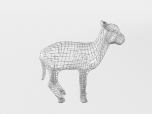little sheep 3D Model