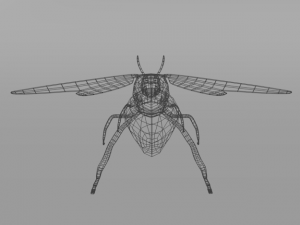 horned ant hormiga culona Modèle 3D