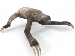 sloth 3D-Modell