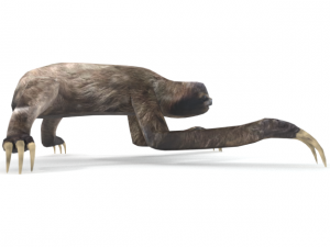 sloth Modelo 3D
