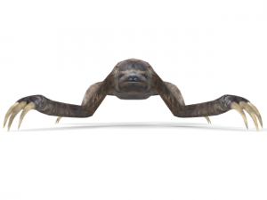 sloth Modelo 3D