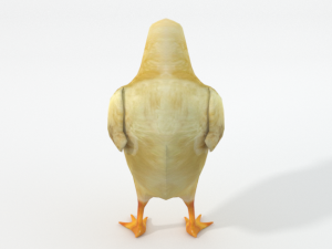 chick 3D Модель