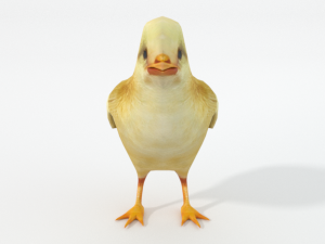 chick 3D Модель