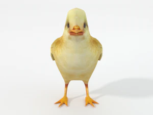 chick 3D Model