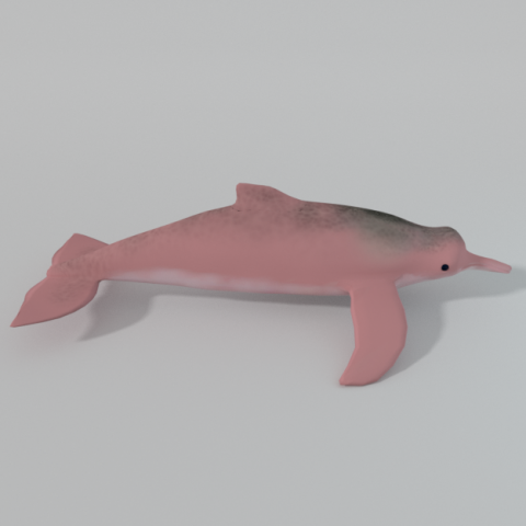 pink dolphin 3D Модель .c4d .max .obj .3ds .fbx .stl .blend 