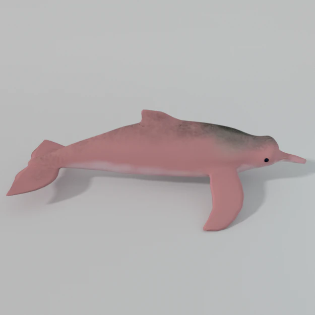 pink dolphin 3D Model .c4d .max .obj .3ds .fbx .stl .blend