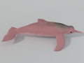Pink Dolphin 3D Model