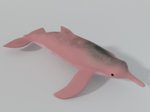 pink dolphin 3D Модель