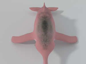 pink dolphin 3D Модель