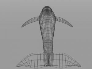 pink dolphin 3D Модель