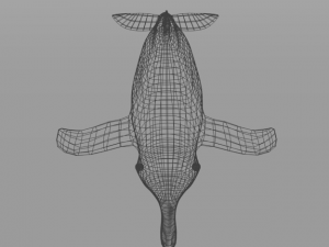 pink dolphin 3D Модель
