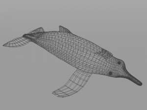 pink dolphin 3D Модель