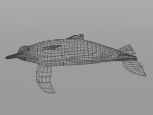 pink dolphin 3D Модель
