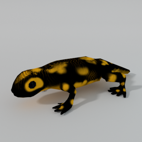 salamander Modello 3D .c4d .max .obj .3ds .fbx .stl .blend 