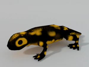 salamandra Model 3D