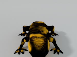 salamander Modello 3D