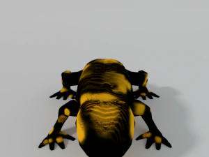 salamander 3D Model