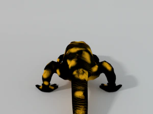 salamander 3D Model