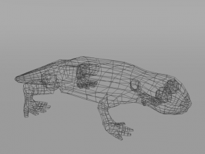 salamander Modello 3D