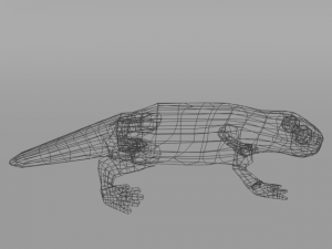 salamander Modello 3D