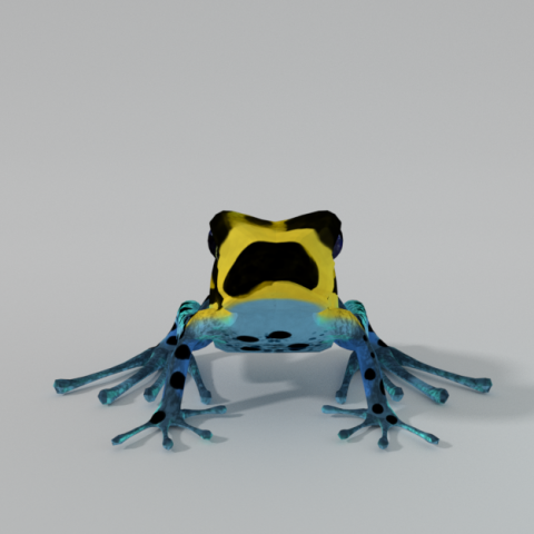 amazonian frog 3D Model .c4d .max .obj .3ds .fbx .stl .blend 