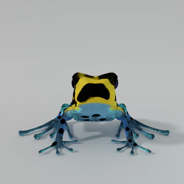amazonian frog 3D Model .c4d .max .obj .3ds .fbx .stl .blend 