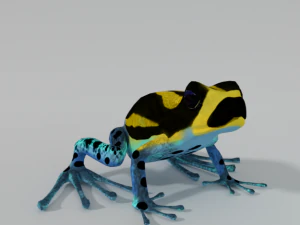 amazonian frog 3D Model