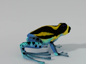 amazonian frog 3D Model