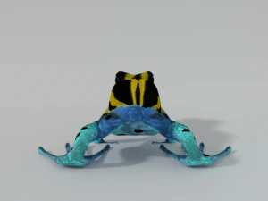 amazonian frog 3D Model