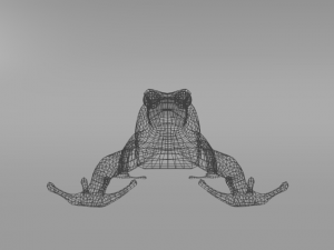 amazonian frog 3D Model