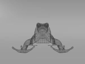 amazonian frog 3D Model