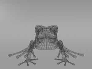 amazonian frog 3D Model