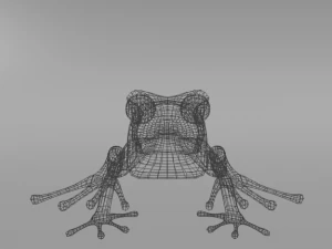 amazonian frog 3D Model