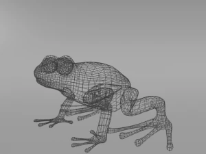 amazonian frog 3D Model