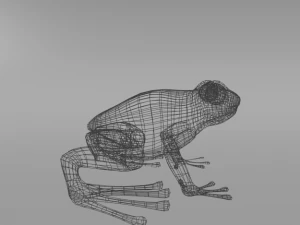 amazonian frog 3D Model