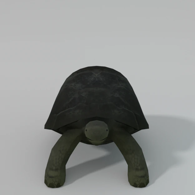 ż&oacute;łw Model 3D .c4d .max .obj .3ds .fbx .stl .blend 