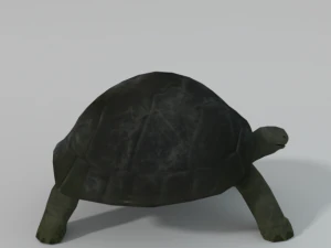 ż&oacute;łw Model 3D