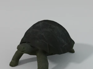 ż&oacute;łw Model 3D