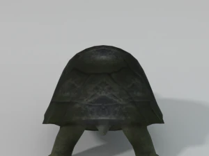 ż&oacute;łw Model 3D