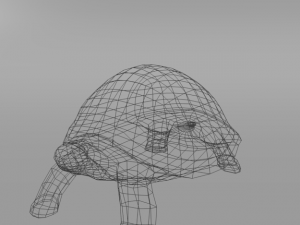 tortoise Model 3D