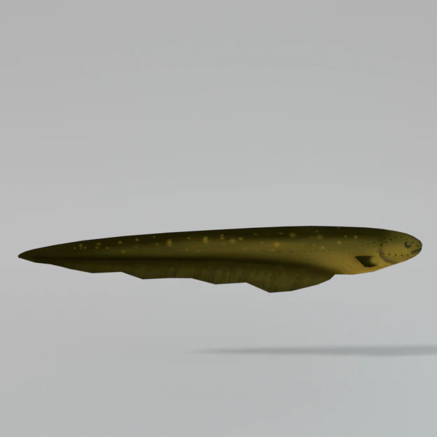 electric eel 3D Model .c4d .max .obj .3ds .fbx .stl .blend 
