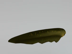 electric eel 3D Model