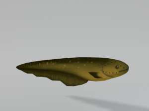 electric eel 3D Model