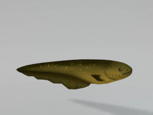 electric eel 3D Model