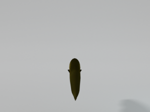 electric eel 3D Model