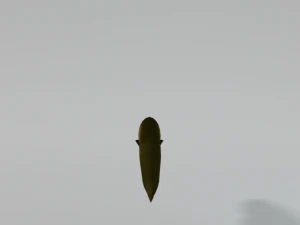 electric eel 3D Model