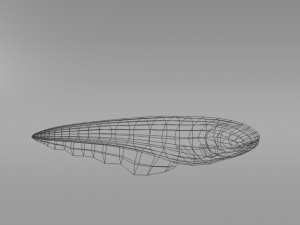 electric eel 3D Model