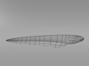 electric eel 3D Model