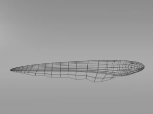 electric eel 3D Model
