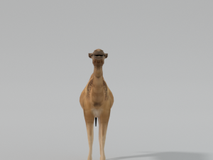 camel 3D Model
